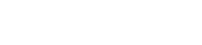 V.2026